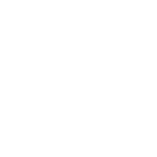 insecte